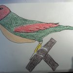 dsc06325_copier_.jpg