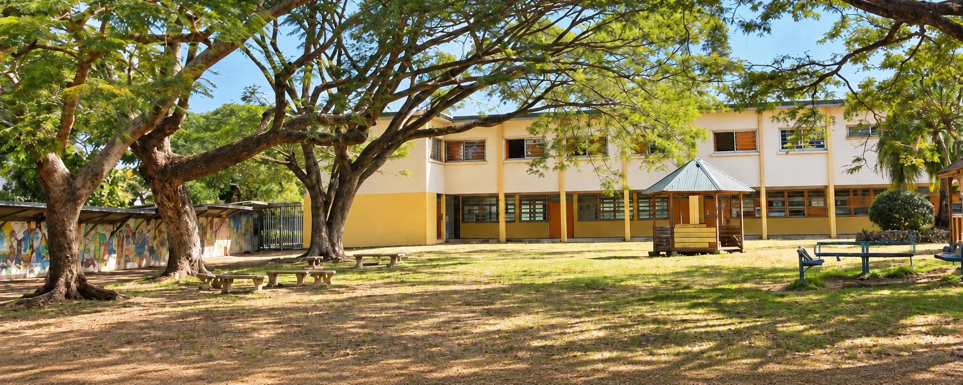 La cour ombragée du Lycée Saint Marcellin Champagnat